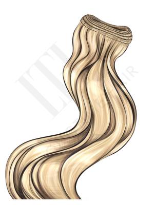 WEFTS