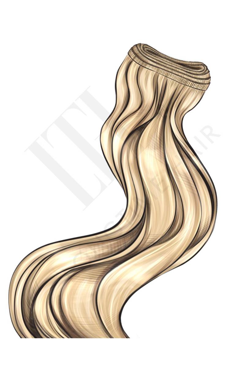 WEFTS