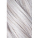 Clip In Nahtlos 45cm Farbe N° Silver White