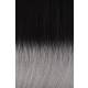 TAPES 60cm FARBE N° T1/Silver Grey BALAYAGE [5cm]